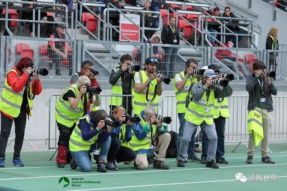 关于重要助攻首场状态出色，德国队观众沸腾！，Uzi重返赛场赛场气氛高涨的信息中国智慧体育